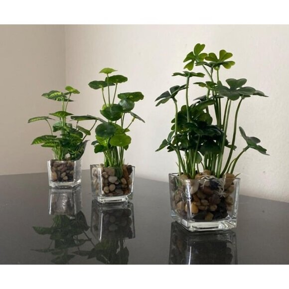 New Set of 3 Artificial Plants, Faux Tabletop Greenery in Clear Glass Pots - Picture 2 of 3